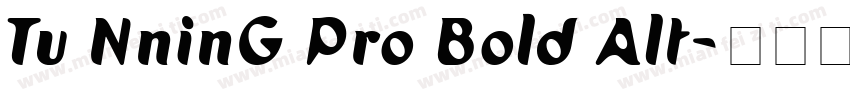 Tu NninG Pro Bold Alt字体转换